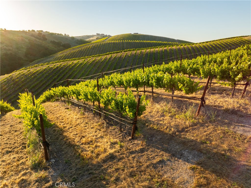2762 Adelaida Rd, Paso Robles, CA 93446