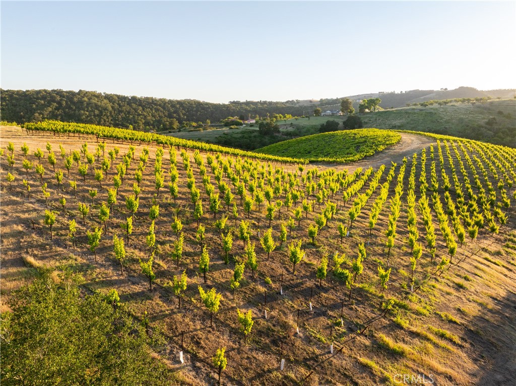 2762 Adelaida Rd, Paso Robles, CA 93446