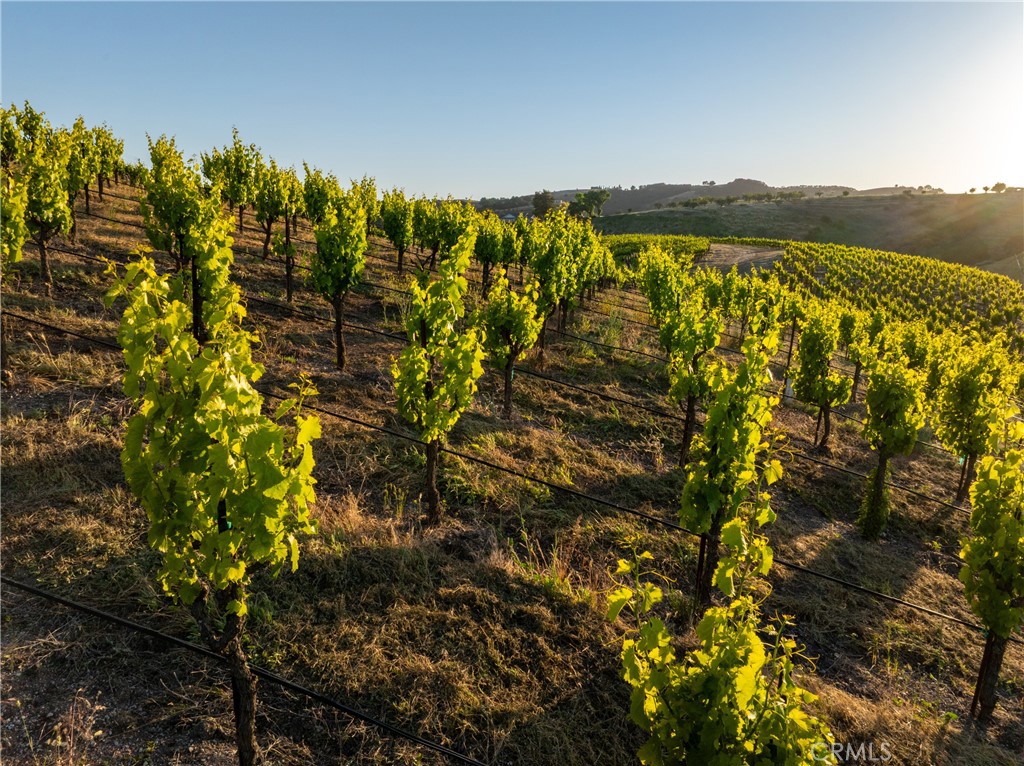 2762 Adelaida Rd, Paso Robles, CA 93446