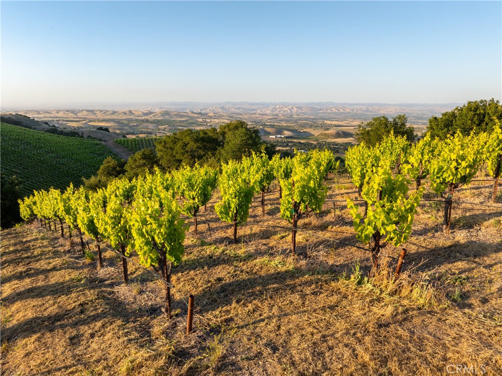 2762 Adelaida Rd, Paso Robles, CA 93446