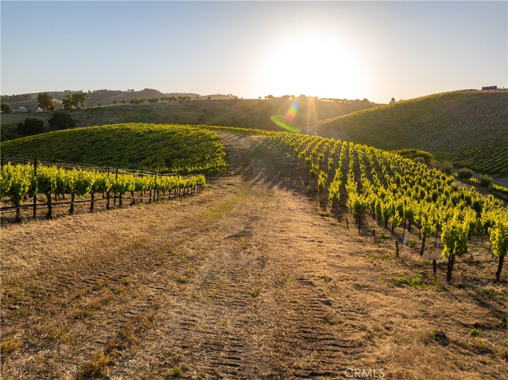 2762 Adelaida Rd, Paso Robles, CA 93446