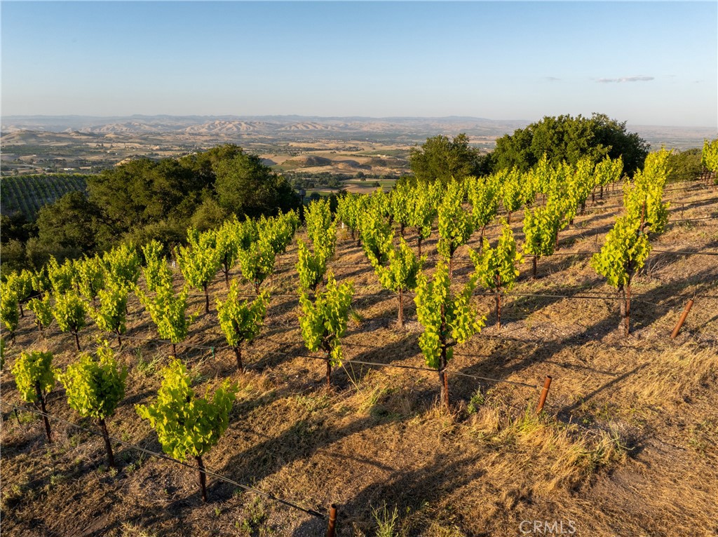 2762 Adelaida Rd, Paso Robles, CA 93446