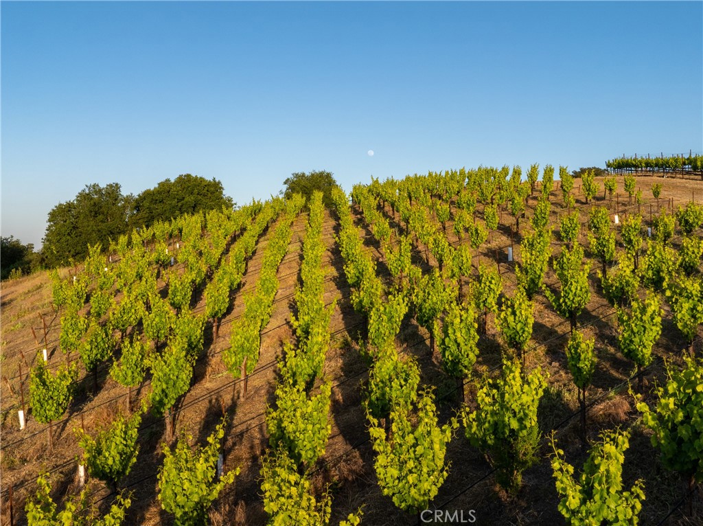 2762 Adelaida Rd, Paso Robles, CA 93446