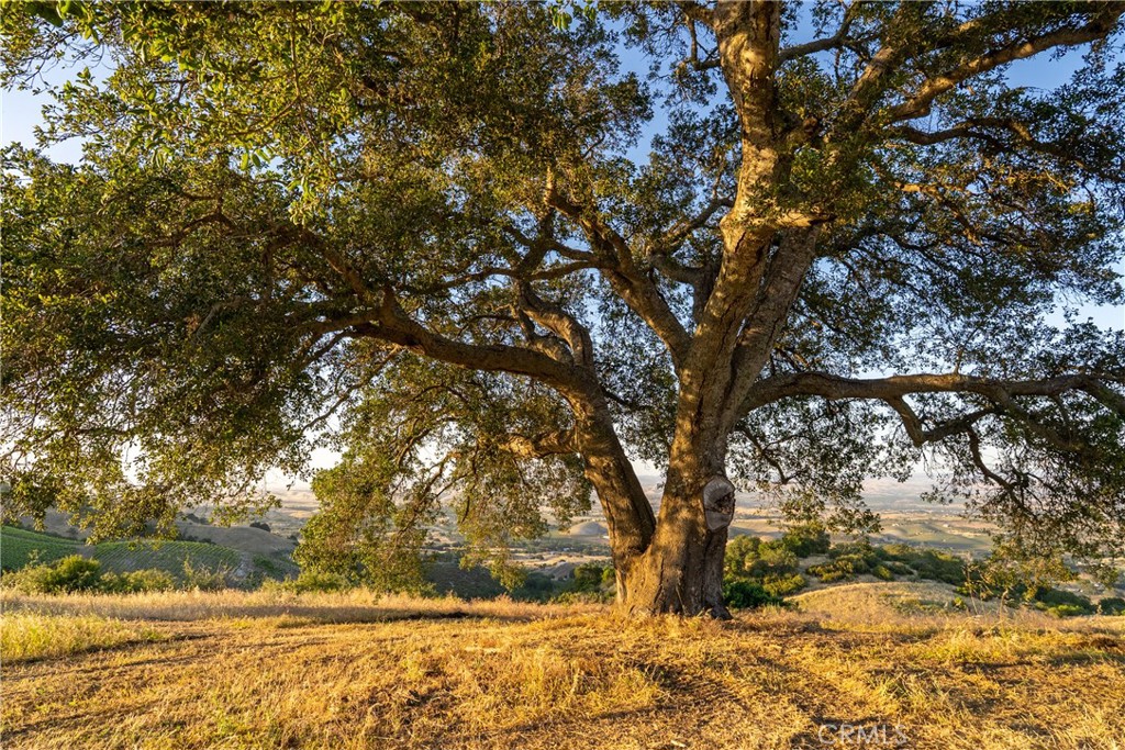 2762 Adelaida Rd, Paso Robles, CA 93446