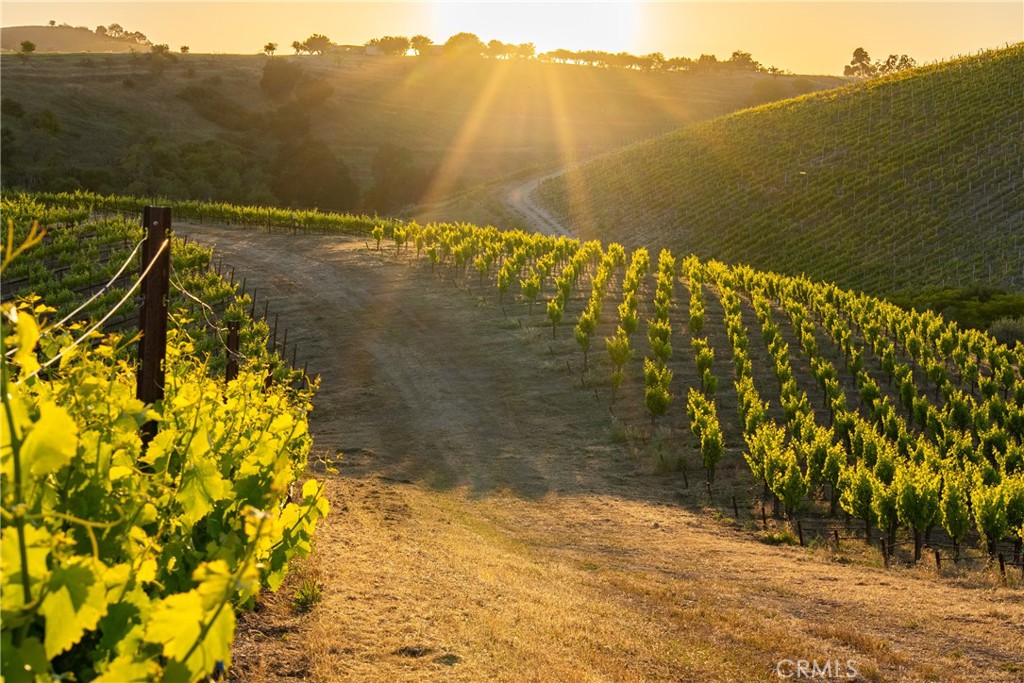 2762 Adelaida Rd, Paso Robles, CA 93446