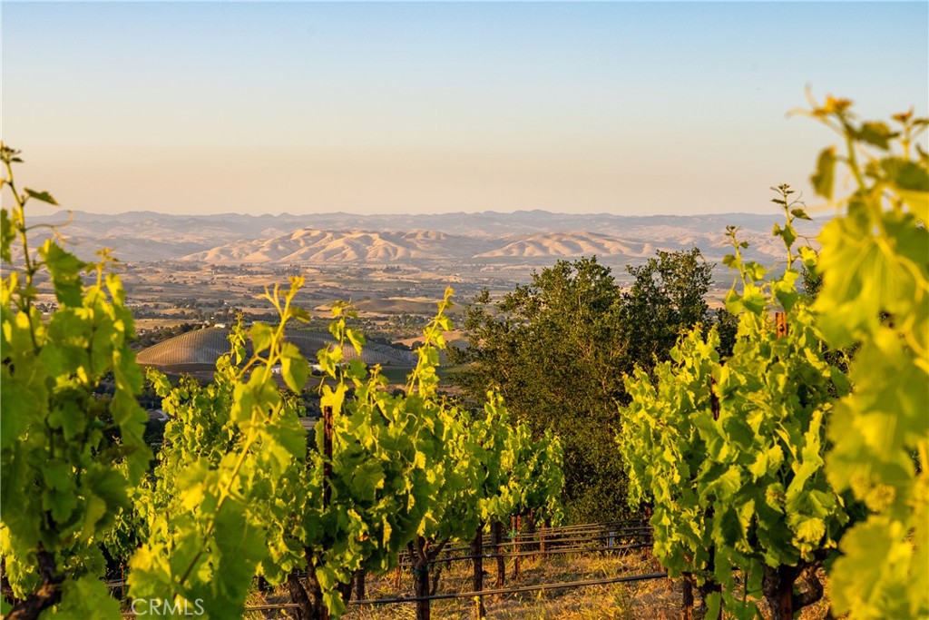 2762 Adelaida Rd, Paso Robles, CA 93446