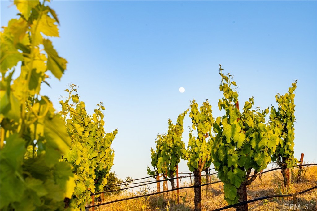 2762 Adelaida Rd, Paso Robles, CA 93446