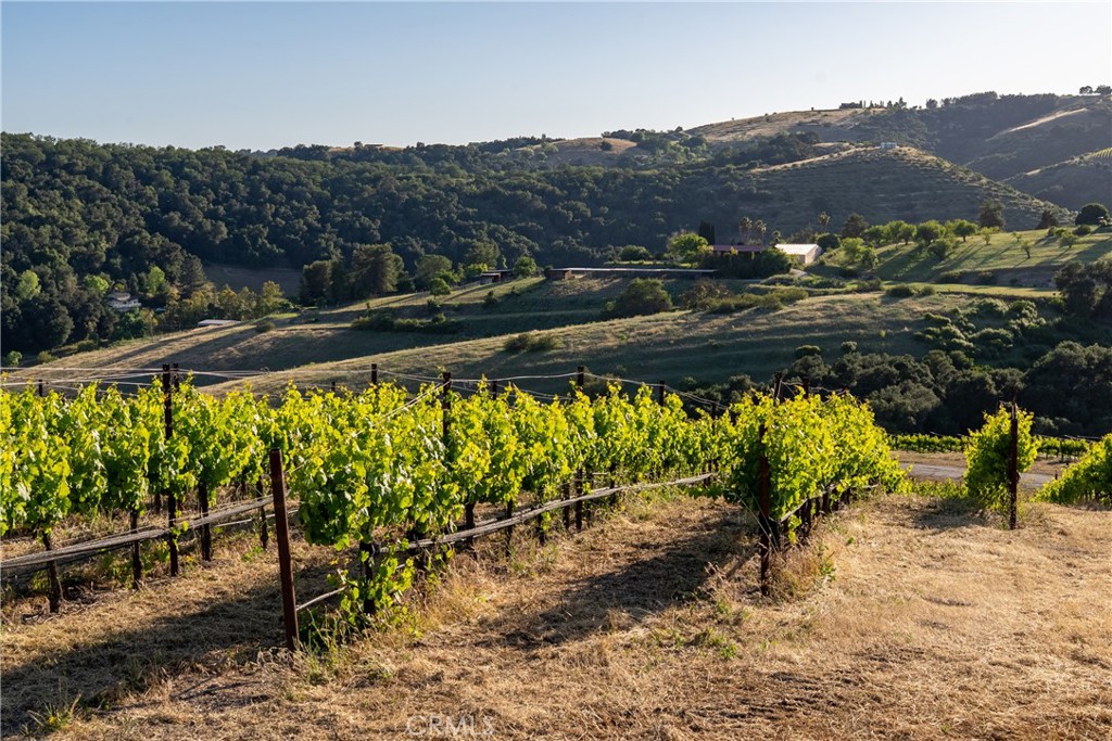 2762 Adelaida Rd, Paso Robles, CA 93446