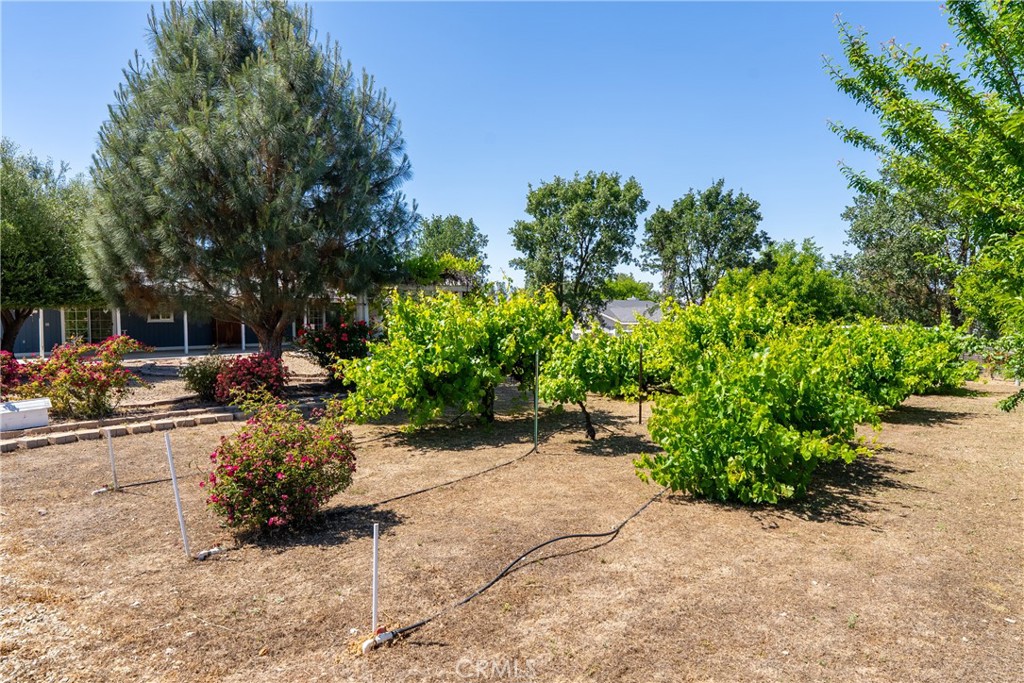 4070 Jardine, Paso Robles, CA 93446