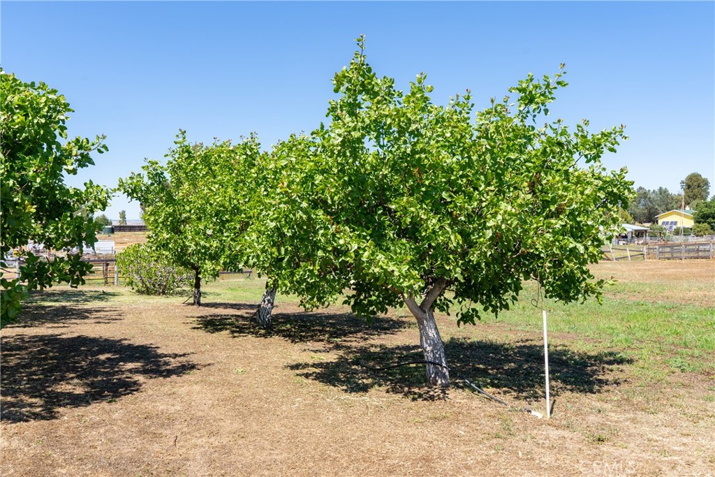 4070 Jardine, Paso Robles, CA 93446