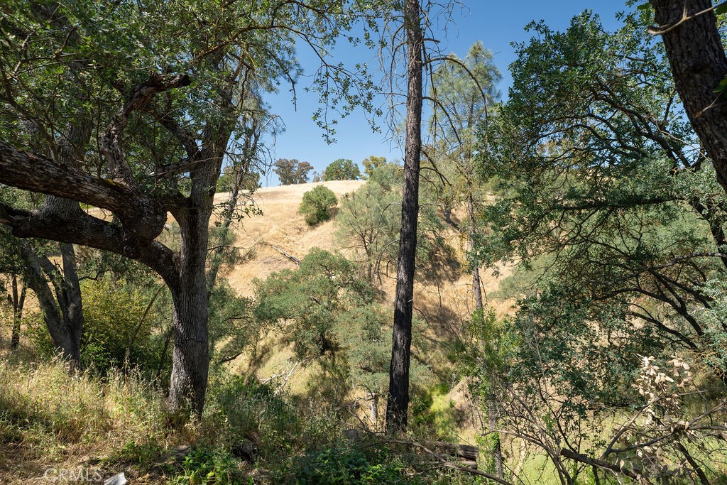 2861 Old Wrangler Ln, Paso Robles, CA 93446