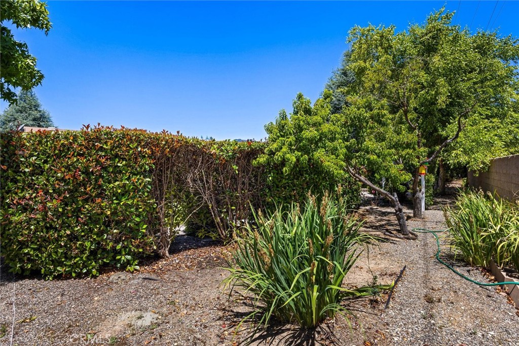 372 Lark Dr, Paso Robles, CA 93446