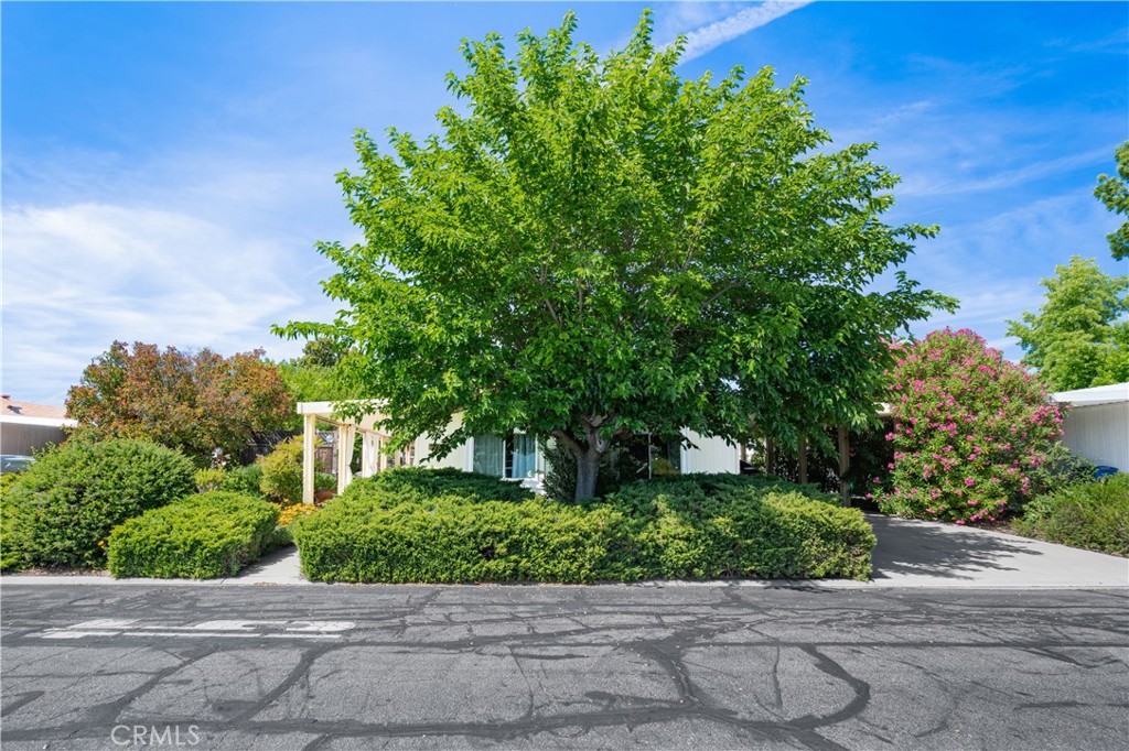 337 Lark Dr, Paso Robles, CA 93446