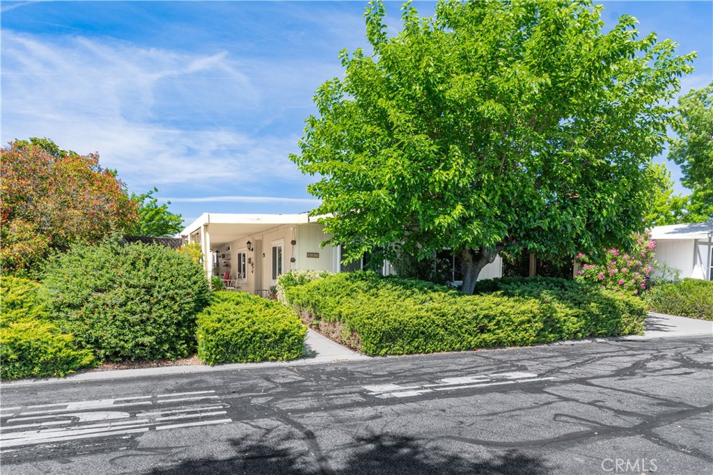 337 Lark Dr, Paso Robles, CA 93446