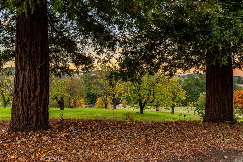 5415 Fairhills, Paso Robles, CA 93446