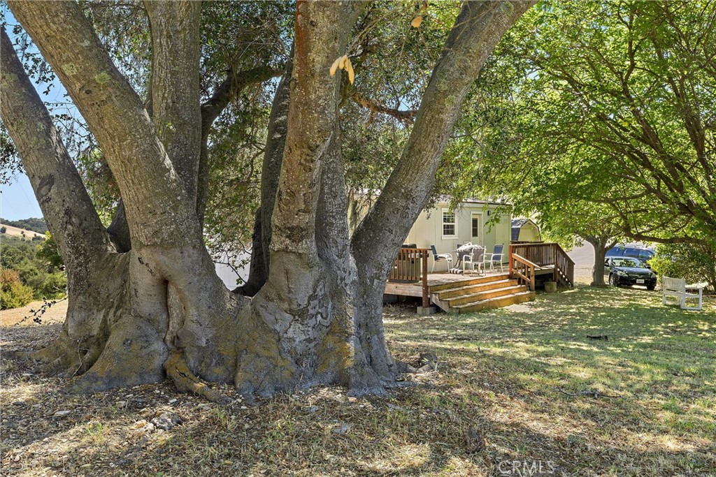 3180 Willow Creek Rd, Paso Robles, CA 93446