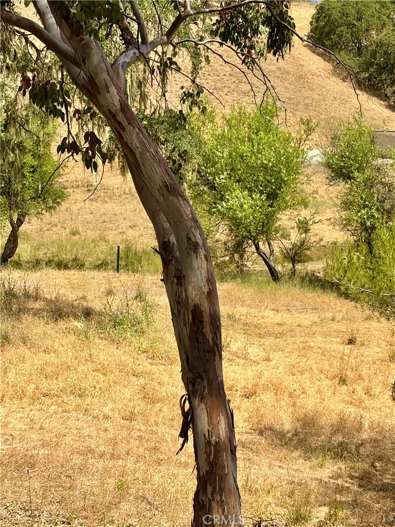 2171 Yellow Gold, Paso Robles, CA 93446