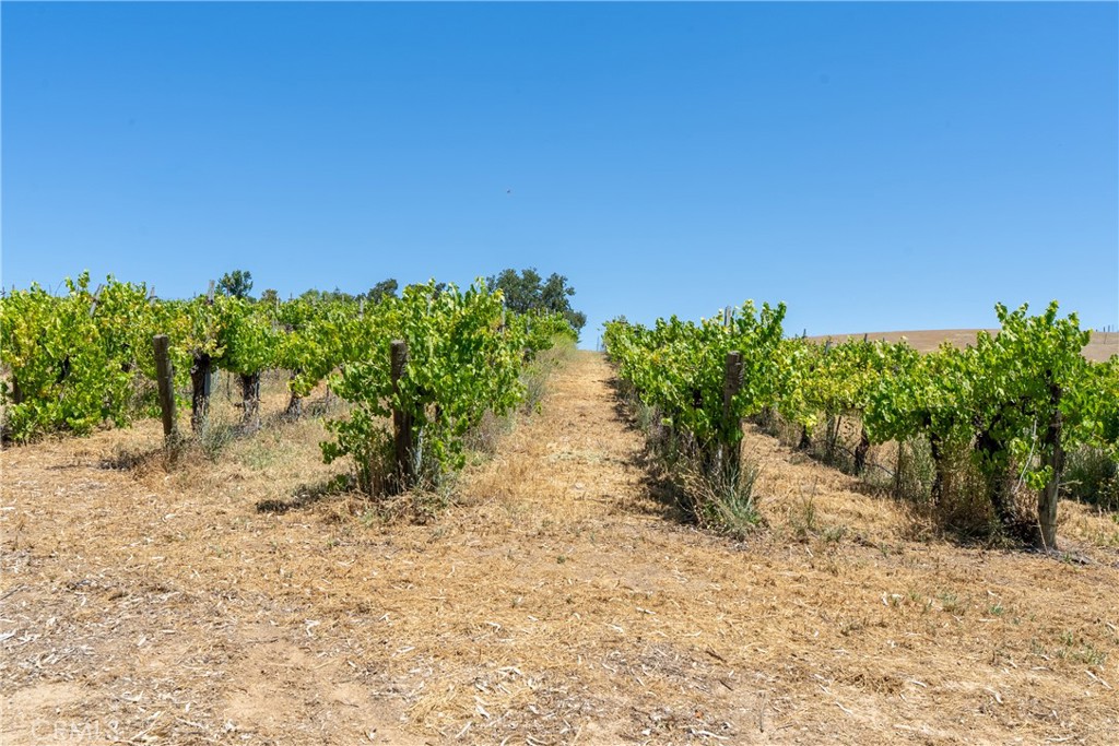 7568 Creston, Paso Robles, CA 93446