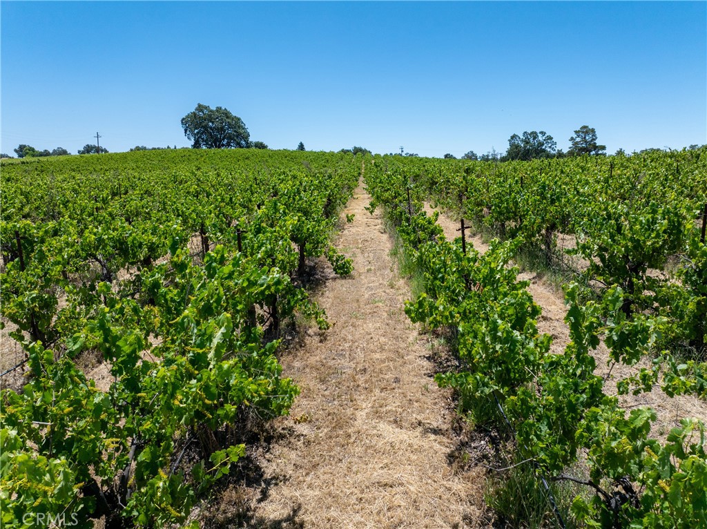 175 White Hawk, Templeton, CA 93465
