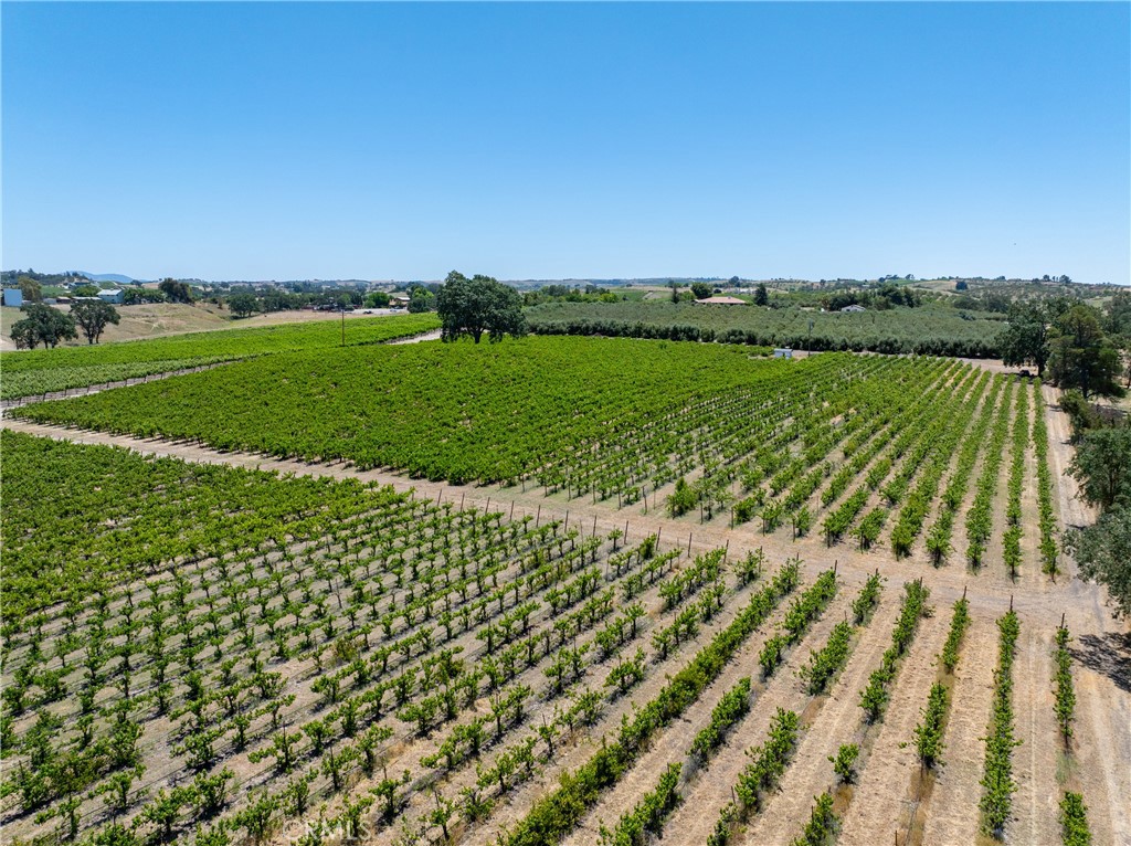 175 White Hawk, Templeton, CA 93465