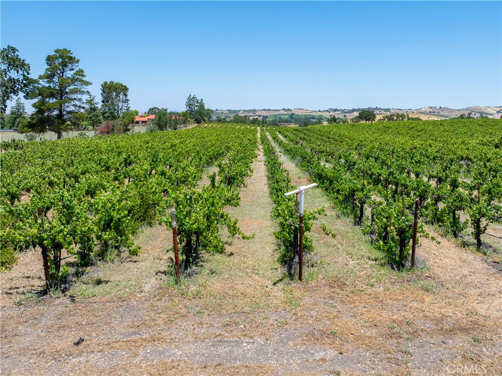 175 White Hawk, Templeton, CA 93465