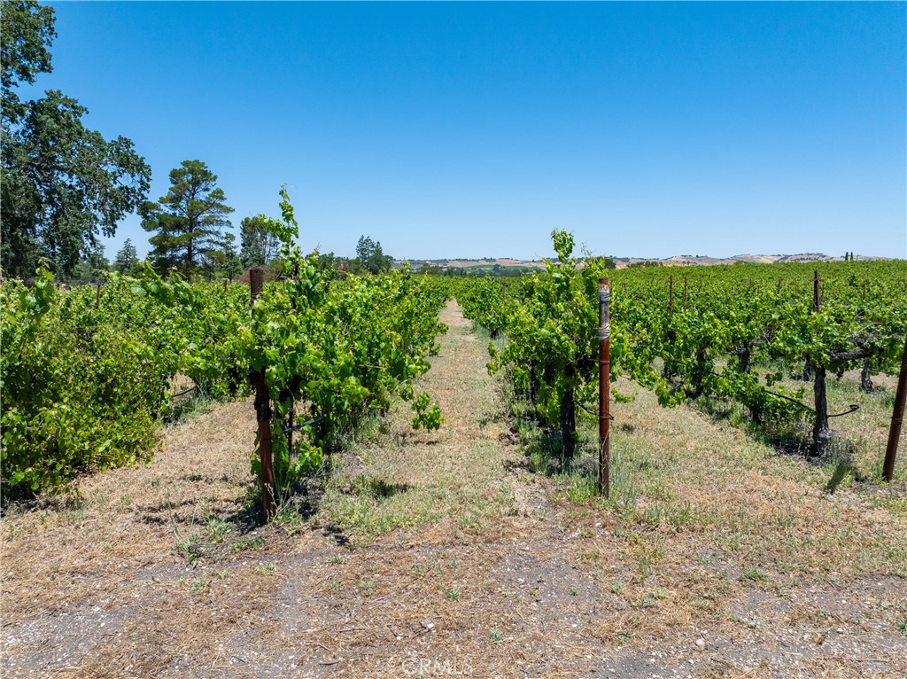 175 White Hawk, Templeton, CA 93465