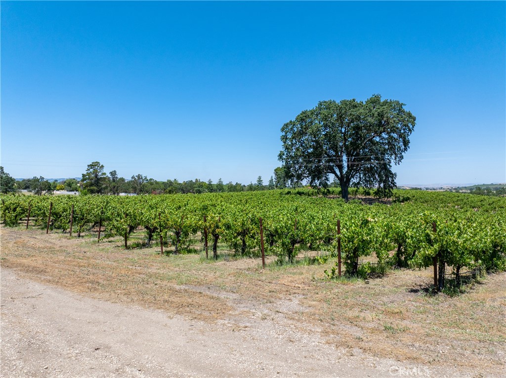 175 White Hawk, Templeton, CA 93465