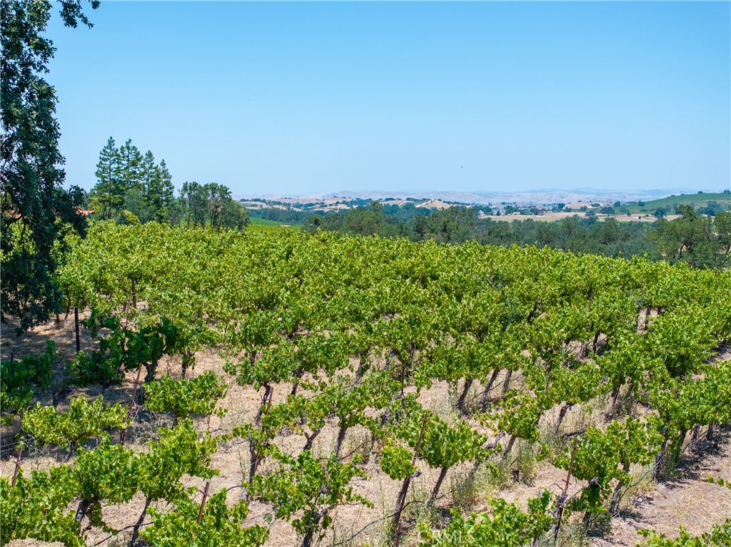 175 White Hawk, Templeton, CA 93465