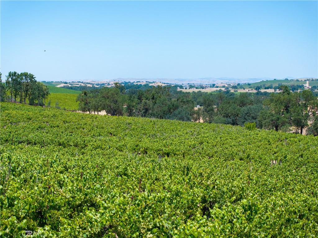 175 White Hawk, Templeton, CA 93465