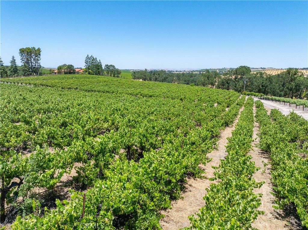 175 White Hawk, Templeton, CA 93465