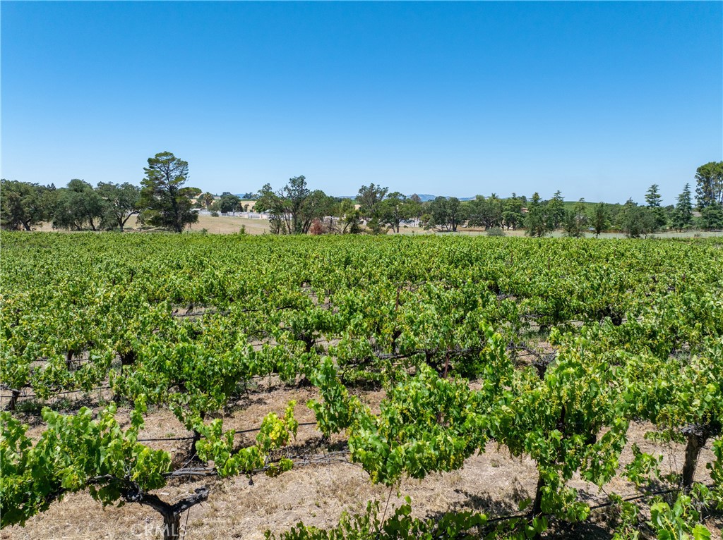 175 White Hawk, Templeton, CA 93465