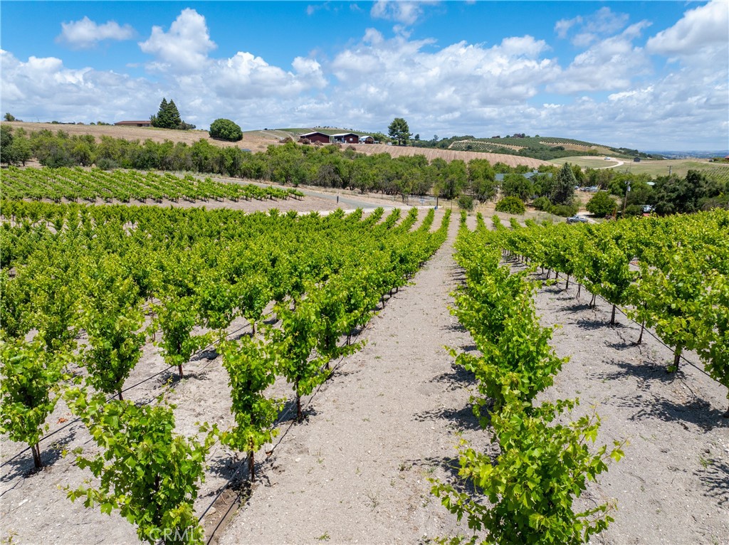 1618 Kiler Canyon, Paso Robles, CA 93446