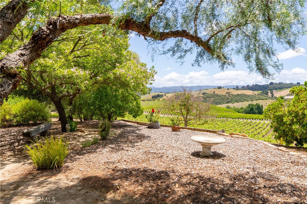 1618 Kiler Canyon, Paso Robles, CA 93446