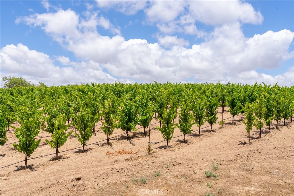 1618 Kiler Canyon, Paso Robles, CA 93446