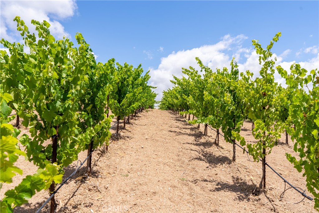 1618 Kiler Canyon, Paso Robles, CA 93446