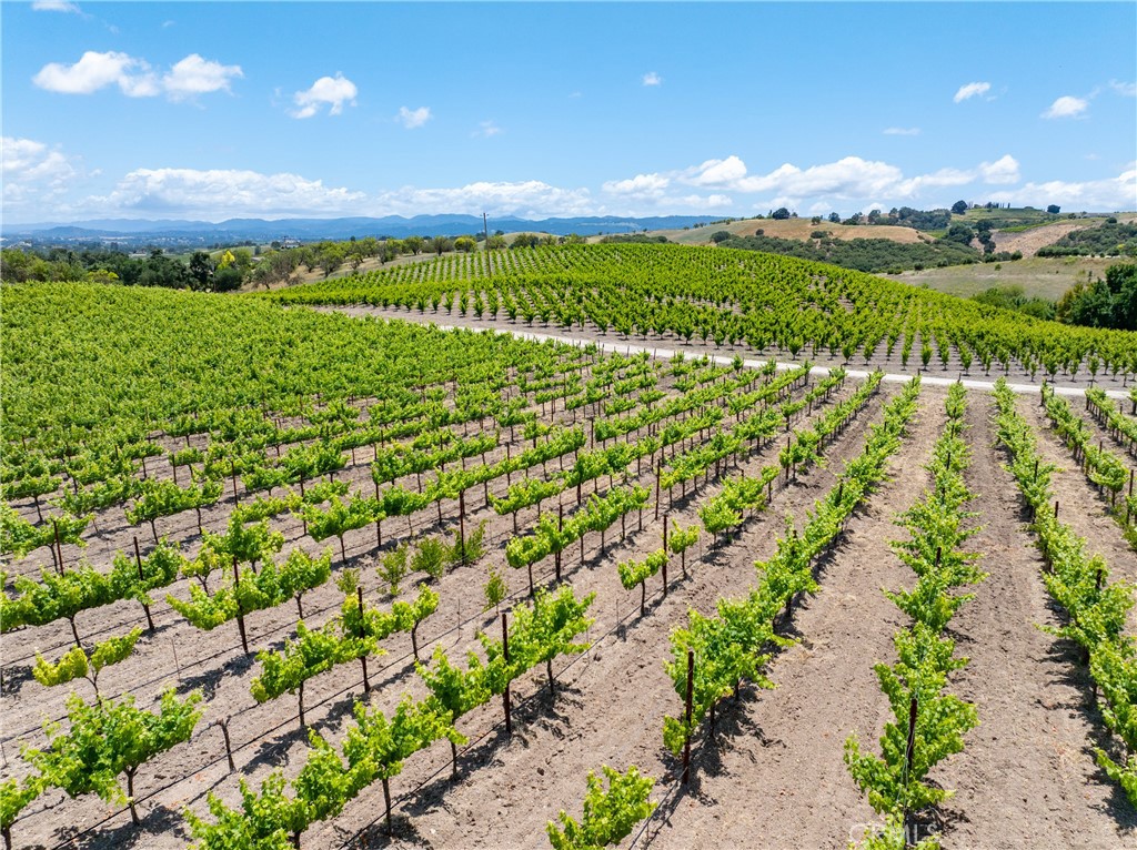 1618 Kiler Canyon, Paso Robles, CA 93446