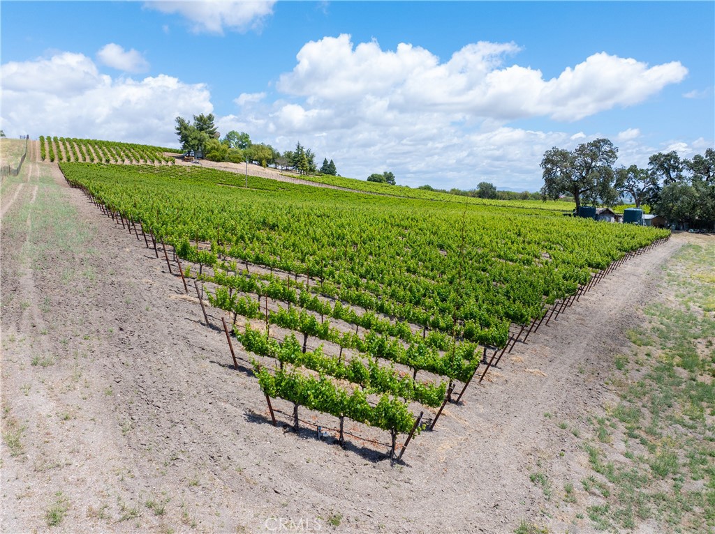 1618 Kiler Canyon, Paso Robles, CA 93446