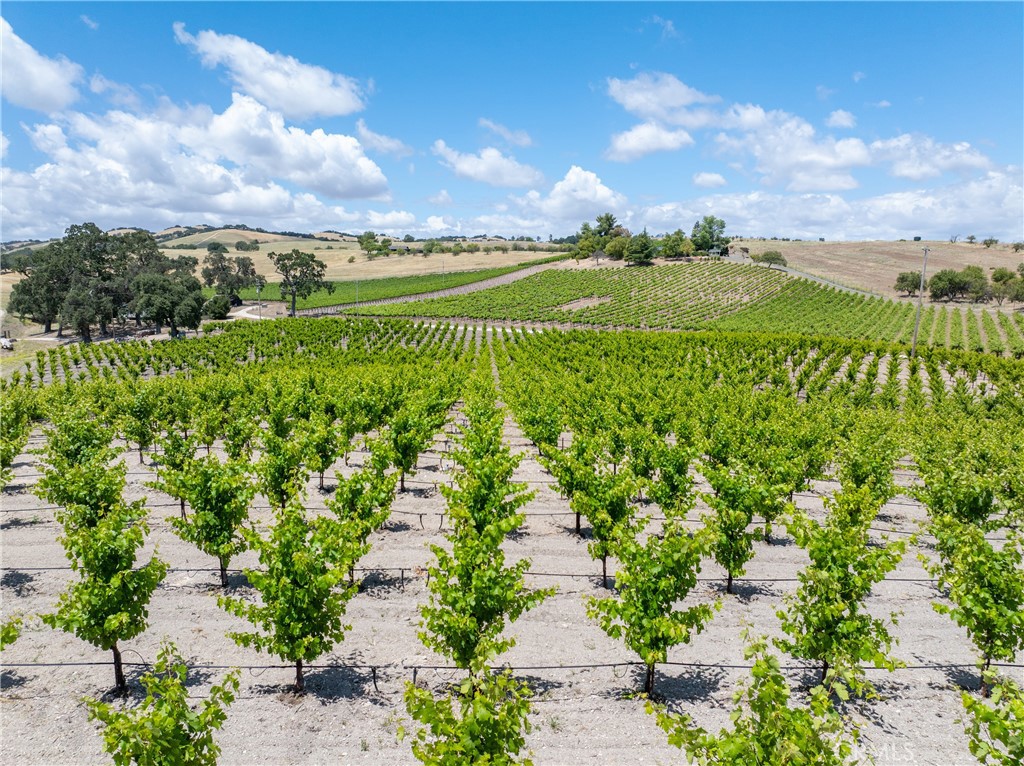 1618 Kiler Canyon, Paso Robles, CA 93446