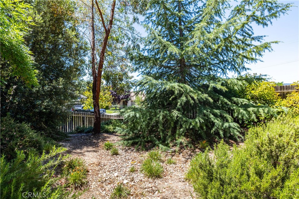 145 Via Camelia, Paso Robles, CA 93446