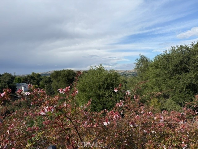 4935 Vida Ave, Atascadero, CA 93422