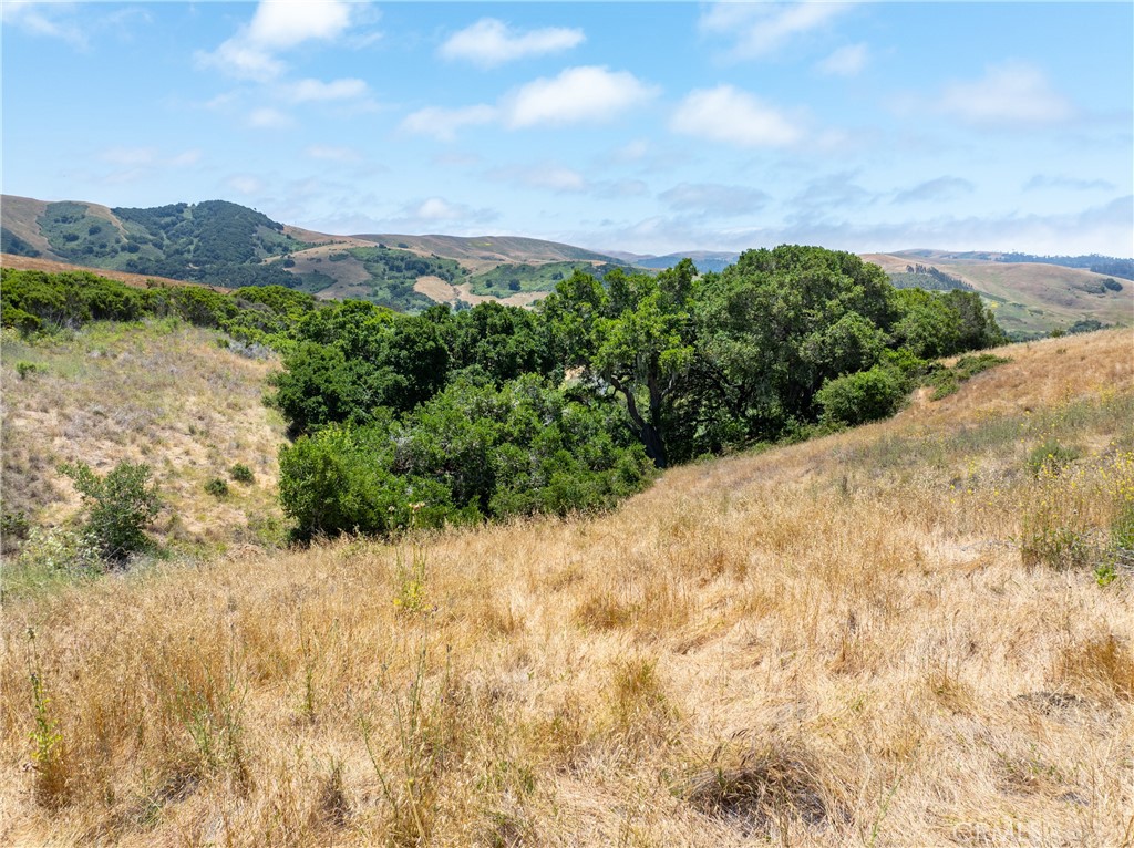 4344 Dos Cruces Ln, Cambria, CA 93428