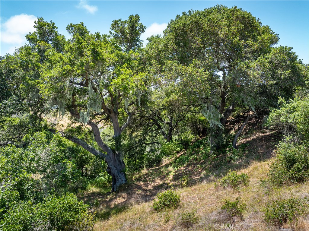 4344 Dos Cruces Ln, Cambria, CA 93428