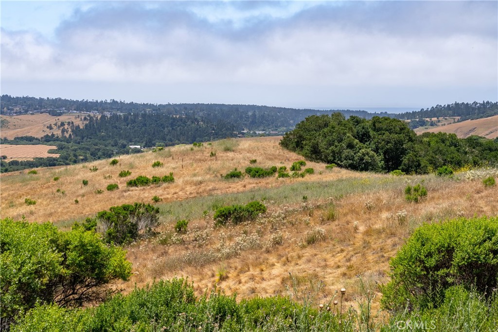 4344 Dos Cruces Ln, Cambria, CA 93428