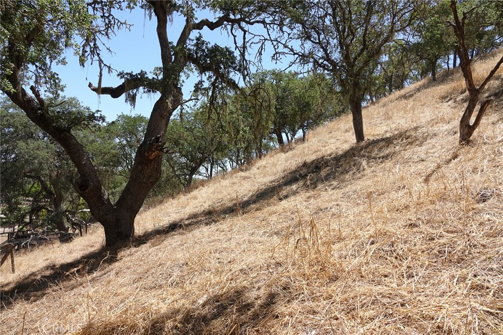 7950 Blue Moon Rd, Paso Robles, CA 93446