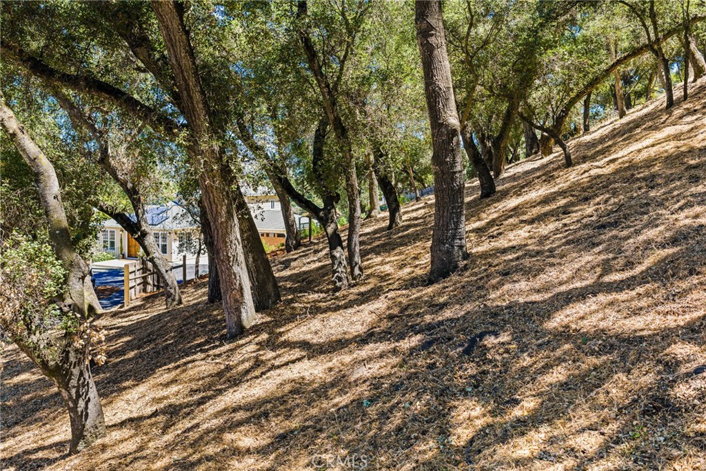 4435 San Jacinto Ave, Atascadero, CA 93422