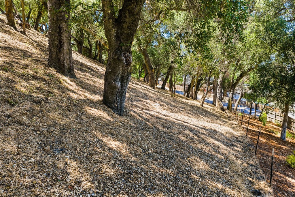 4435 San Jacinto Ave, Atascadero, CA 93422