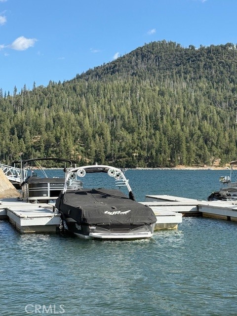 39671 E Idylwild, Bass Lake, CA 93604