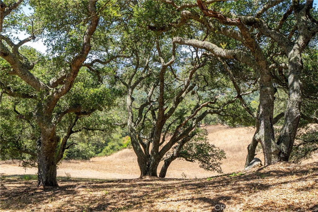 12709 Paso Verde Ct, Atascadero, CA 93422