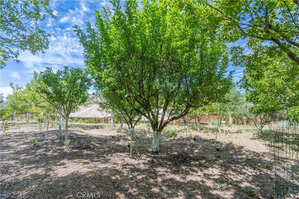 603 Nicklaus #13, Paso Robles, CA 93446
