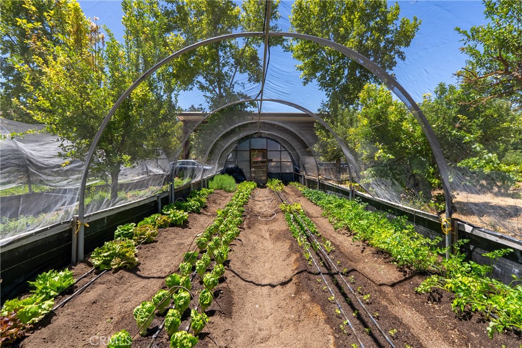 5750 El Pharo, Paso Robles, CA 93446